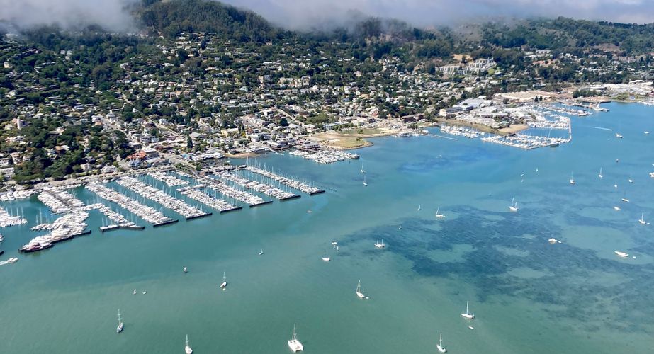 Tiburon Californië